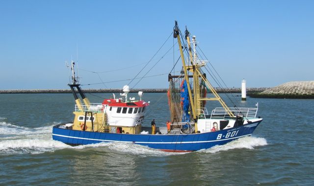 Fischkutter Van Maerlant