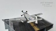Kampfflugzeug Douglas A-1J Skyraider (1/144)