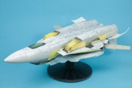 Grumman F-14A Tomcat (1/48)