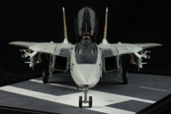 Grumman F-14A Tomcat (1/48)