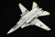 Grumman F-14A Tomcat (1/48)