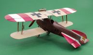 Jagdflugzeug Phönix D.1 (1/48)