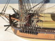 HMS Endeavour (1/120)