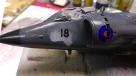 Sea Harrier FRS.1 (1/48)