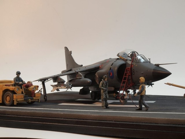 Sea Harrier FRS.1 (1/48)