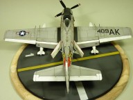 Jagdbomber Douglas A-1H Skyraider (1/48)