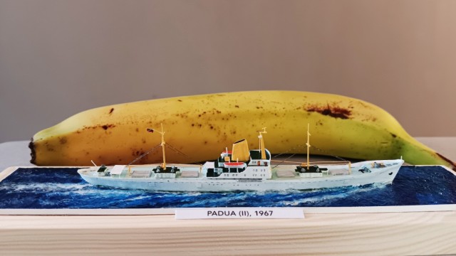 Kühlschiff Padua (II) (1/1200)