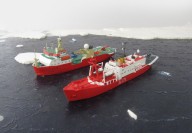 Antarktispatrouillenschiff HMS Endurance (1/700)