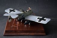 Hansa Brandenburg W.29 (1/32)