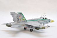 McDonnel Douglas F/A-18C Hornet (1/48)