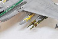 McDonnel Douglas F/A-18C Hornet (1/48)