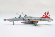 Northrop F-5F Tiger II (1/48)