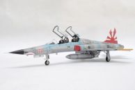 Northrop F-5F Tiger II (1/48)