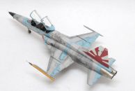 Northrop F-5F Tiger II (1/48)