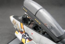 Grumman F-14A Tomcat (1/48)