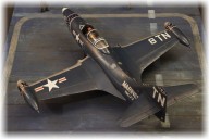 Aufklärer Grumman Panther (1/48)