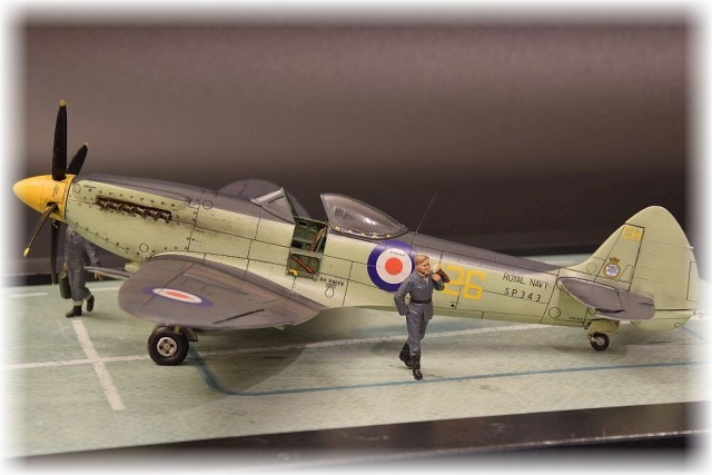 Supermarine Seafire F.XVII (1/48)