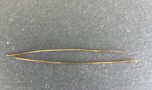 Schnellboot S 7 Drähte