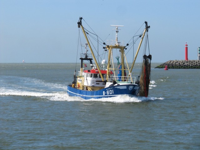 Fischkutter in Ostende (Foto Lars)